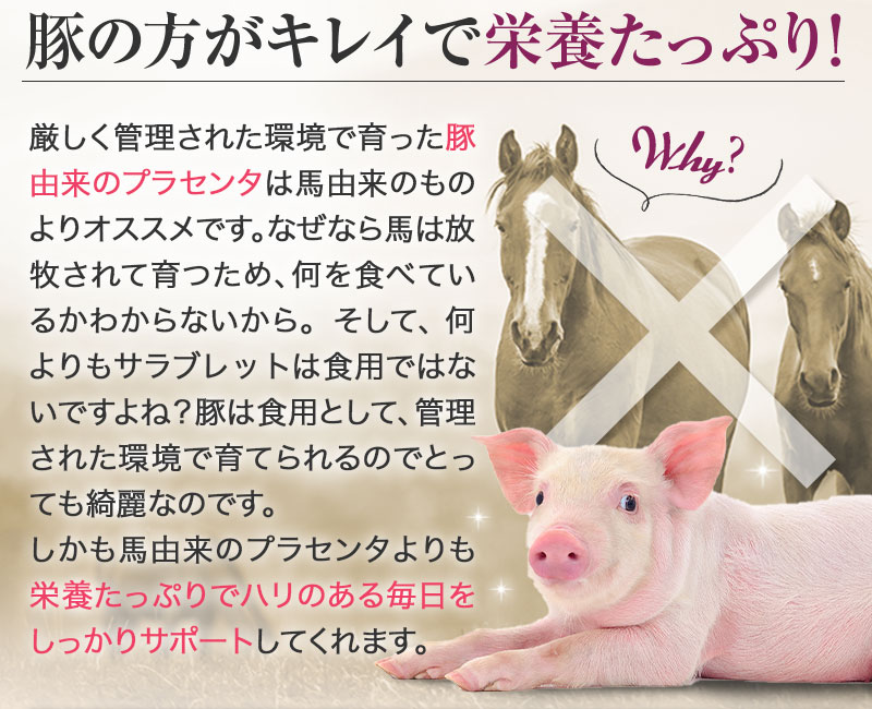 豚の方が綺麗で栄養たっぷり