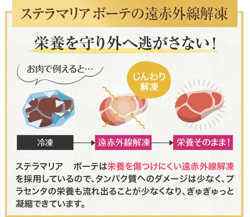 ステラマリアボーテの遠赤外線解凍